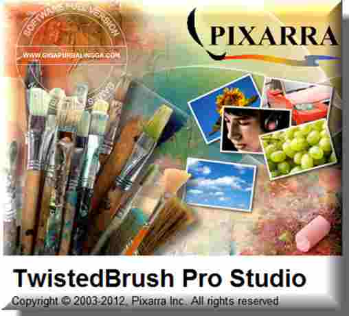 twisted brush pro studio serial number